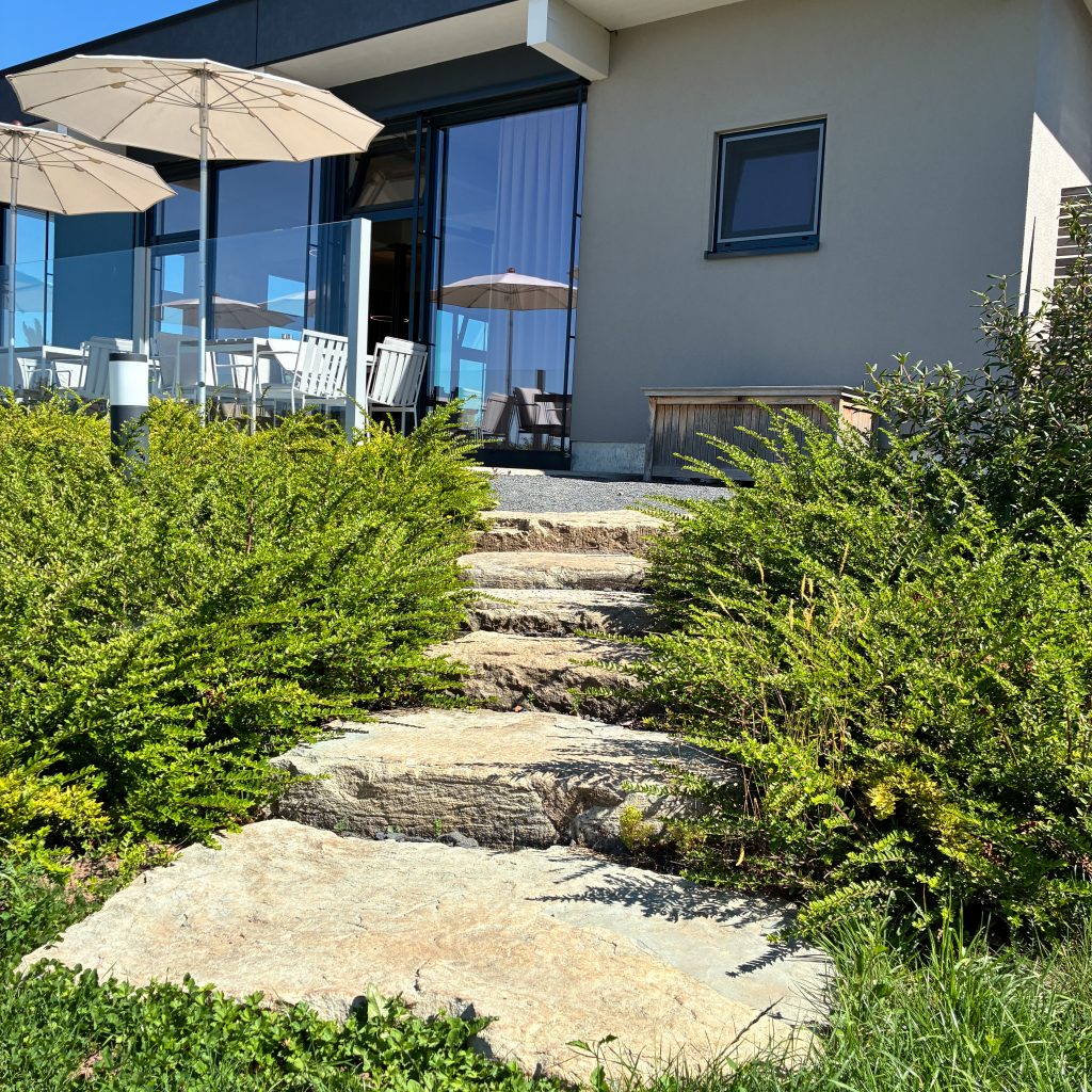 Gestaltung einer Außenanlage mit Wegen und Grünflächen im GaLaBau